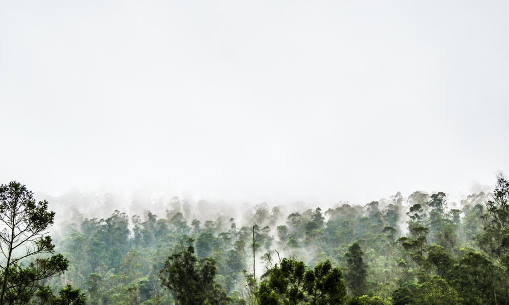 blog-image